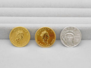 メイプルリーフ金貨、プラチナイーグルコイン(表面)